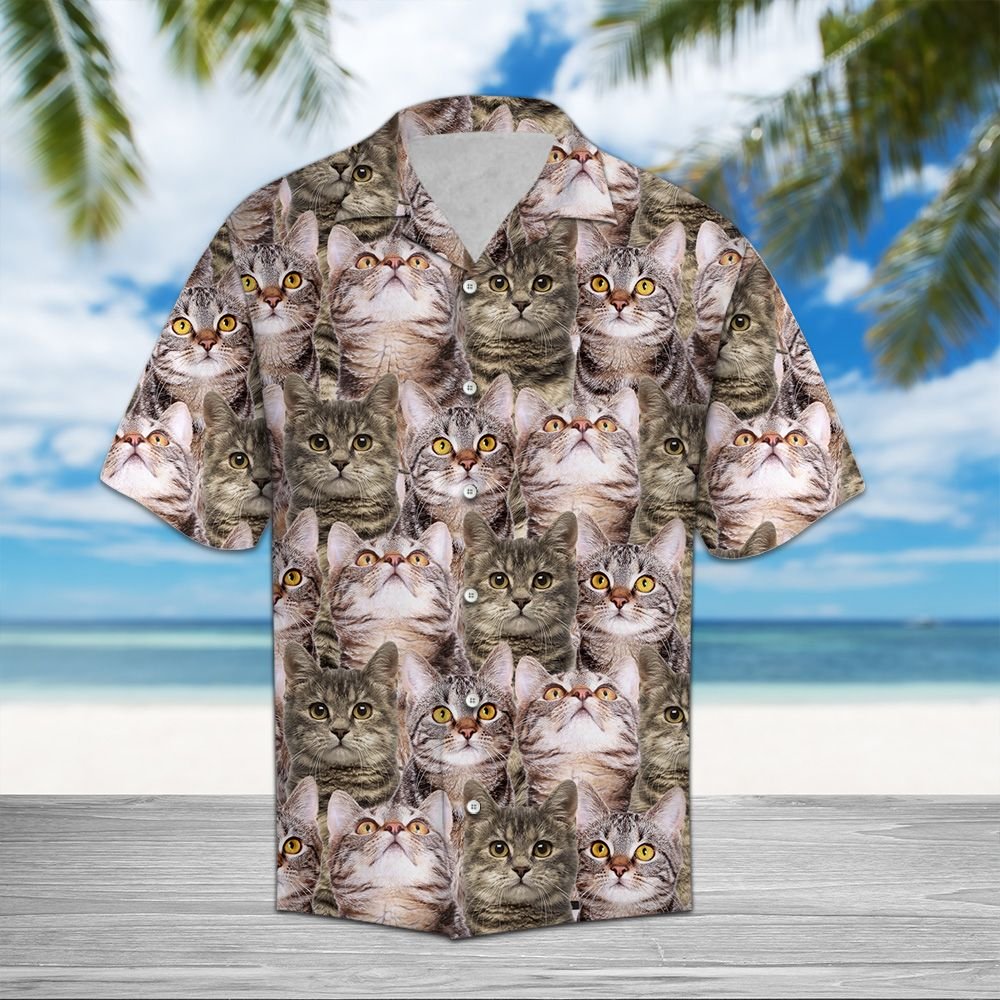 European Shorthair Awesome Hawaiian Shirt, Cat Lover Aloha Shirts, Summer Short Sleeve Shirts