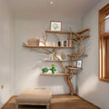 Tree Bookshelf Driftwood Branch Wall Mount