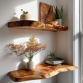 Walnut Live Edge Shelf Decor WFSHCH020